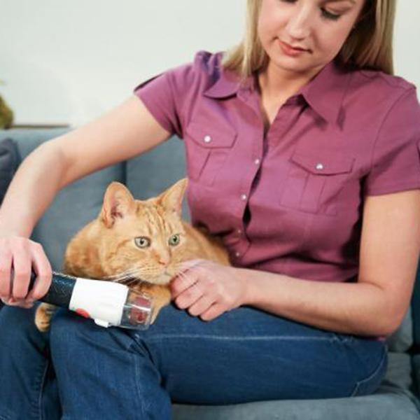 Pet Nail Trimmer