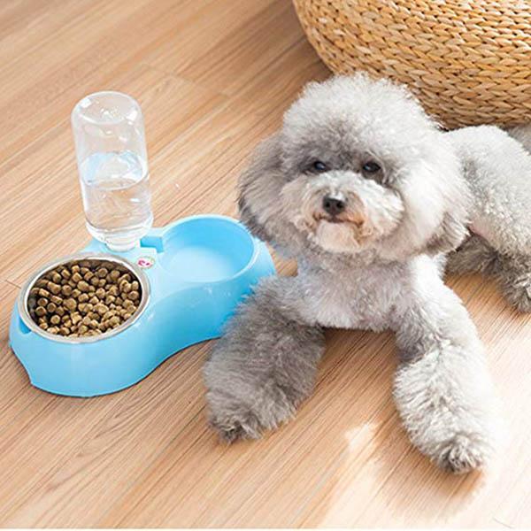 Double Bowls Of Automatic Drinking Water For Pets